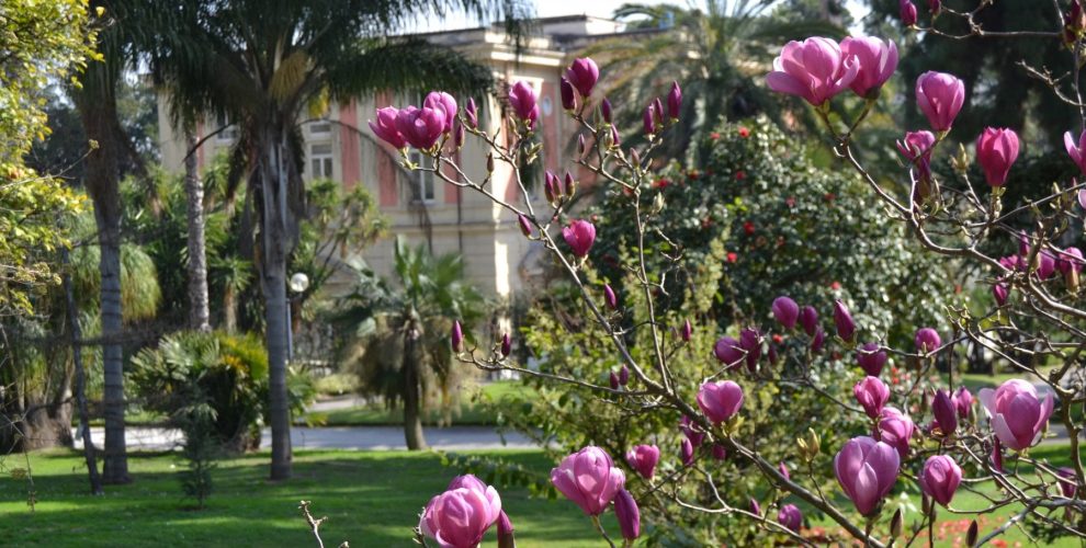 Orto botanico Napoli